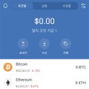 벨라vela