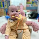 애플아울렛 압소바 | [육아일지]동부산 롯데아울렛vs기장 신세계 아울렛 나들이_6개월 아기와 함께 가기 좋은 아울렛은?_롯데...