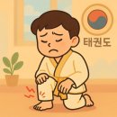 한양대박사비룡태권도장 이미지