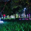 대구광역시 서구 비원뮤직홀 이미지