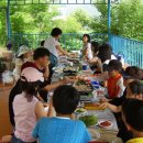 강변의 하루 이미지