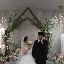 아이폰 스냅 빈티지 감성 씨즈더데이스냅 촬영 후기 (솔직 리뷰)