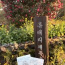 자연공원 | 제주 데이트 코스 추천｜휴애리자연생활공원 솔직 후기