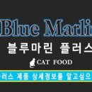 블루마린 이미지