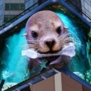 광고바다