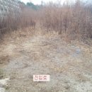 중리농장 이미지