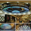 좌화취월 이미지