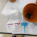 플랜팅아트