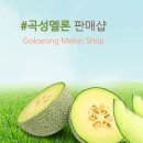곡성멜론 주식회사 이미지