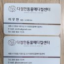 다정한동물메디컬센터 | 고양이가 토를 많이 할 때, 고양이 병원 진료 후기 (X-ray 비용, 구토 원인, 투약 방법, 고양이 위염)