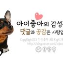 블루밍 그루밍 이미지