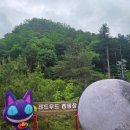 레드우드캠핑장 이미지