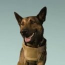 CW-1575-01 이미지