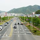 녹색환경건설 Daum카페