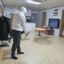 팔마방역