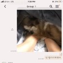 중앙성모의원 이미지