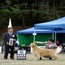 명진켄넬 이미지