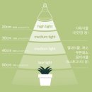 LED 식물등 효과 진짜 있을까? 직접 써본 후기 + 추천 제품 총정리