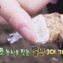 김주용농장 이미지