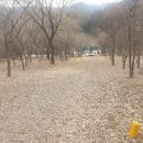 [ 청평 북한강옆 ] 주말 농장 / 농막 / 전원주택 부지 토지 매매 이미지