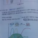 2권 p.258 그림 27.06 / p.259 B세포, T세포 / p.260 항원 수용기 / r-면역글로불린 / p.261 IgM 이미지