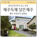 달뜬제주 | [제주 남쪽 숙소] 아기랑 가기 정말 좋은 제주 남원 독채 숙소 달뜬제주