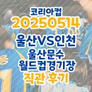 [울산HD] 250514 코리아컵 인천유나이티드 FC 직관후기 (울산문수월드컵경기장 S6구역/시야/먹거리)