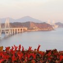 해금강천년송횟집 이미지