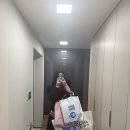 아무것도 모르고 다녀온 2개월차 초보 집사의 궁디팡팡 캣페스타 후기
