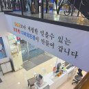 한국지엠 대구북구바로서비스 | 포항안경점 렌즈 추가금 걱정 없는 정찰제 매장 방문 후기 다비치안경 포항중앙점