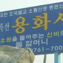 할머니돌 Daum카페