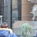 청주랜드관리사업소(동물원) 이미지