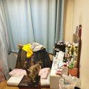 함평고등학교 이미지