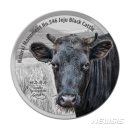 제주 흑우 이미지