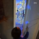 11620-전25-36-3 | 안성 스타필드 글로우사파리 재방문 후기｜27개월 vs 36개월 비교 (입장료·할인·체류시간)