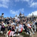 부산TIA태권도 이미지