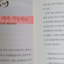 황금부엉이