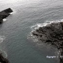 용인시 방죽골어린이공원 (옥외1) | 느린 여행자의 제주 답사 &lt;중문해변올레,여미지식물원,추사기념관까지&gt;