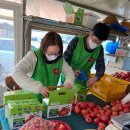 공헌농장 이미지