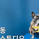 그믐달셀프스튜디오수원 이미지