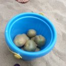 구립우리꿈어린이집 이미지