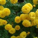 모리폴리 이미지