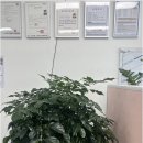 황금공인중개사사무소 | 화성공인중개사는 대방황금공인중개사사무소와 함께 더욱 든든하게!