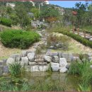 생태다리 이미지