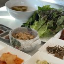 섬꽃쌈밥