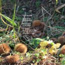 권*환 - 안양시 동안구 평촌대로411번길 | 권*환