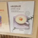 담트 이미지