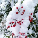 파워라인 이미지