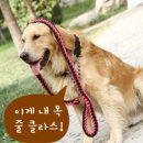 에이치텍 이미지