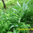 병호농장 이미지